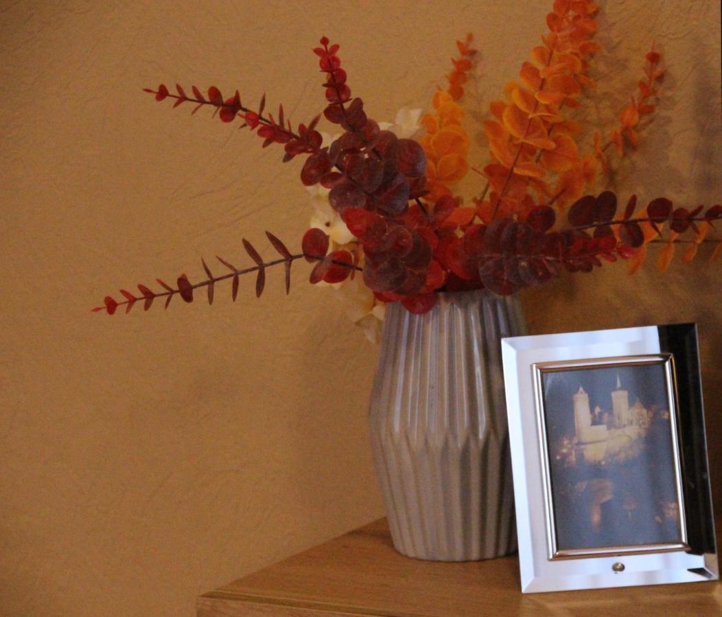 Ferienwohnung Felicitas Wilthen 外观 照片